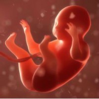 Почему у беременных болит низ живота на 4 месяце беременности