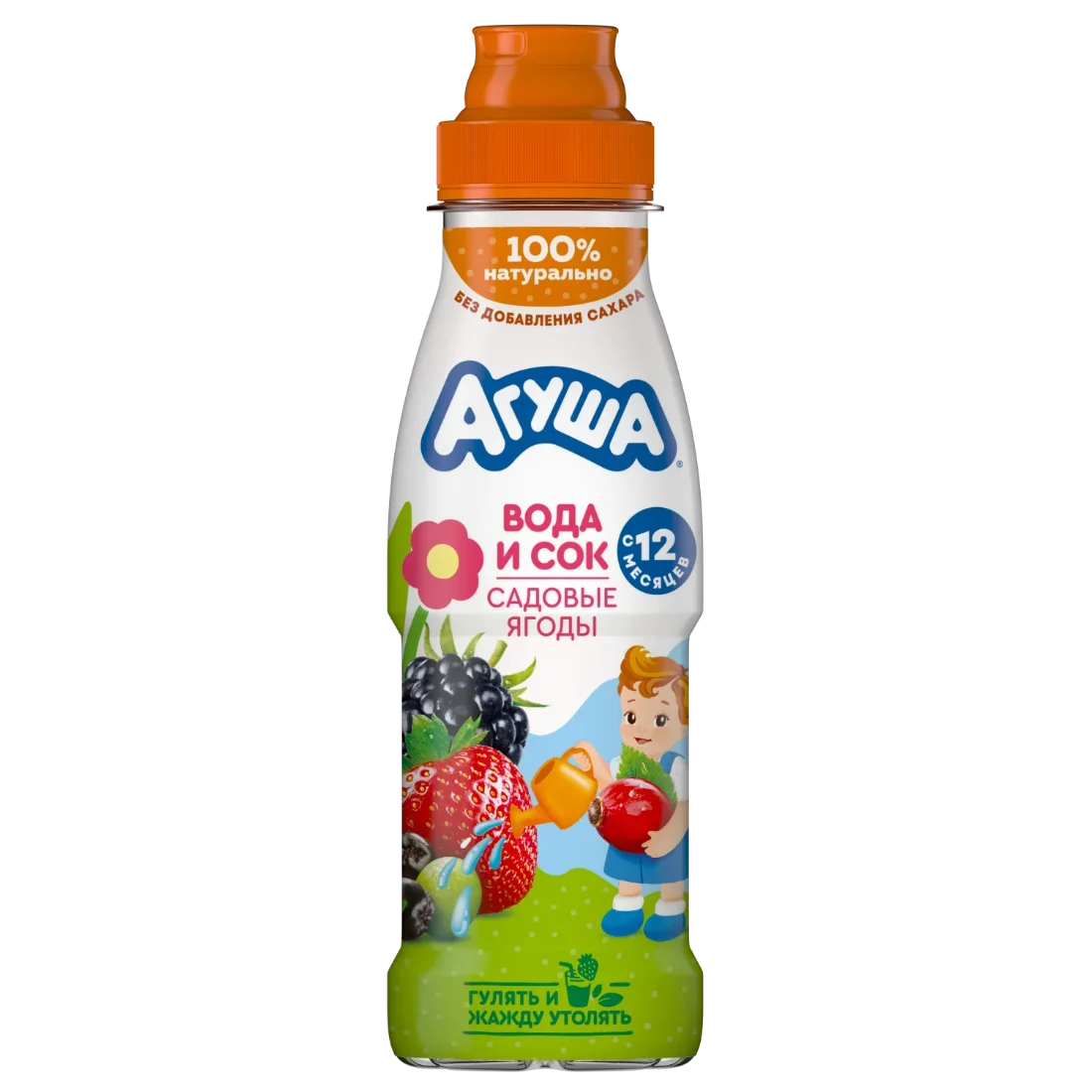Напиток Вода и сок Садовые ягоды