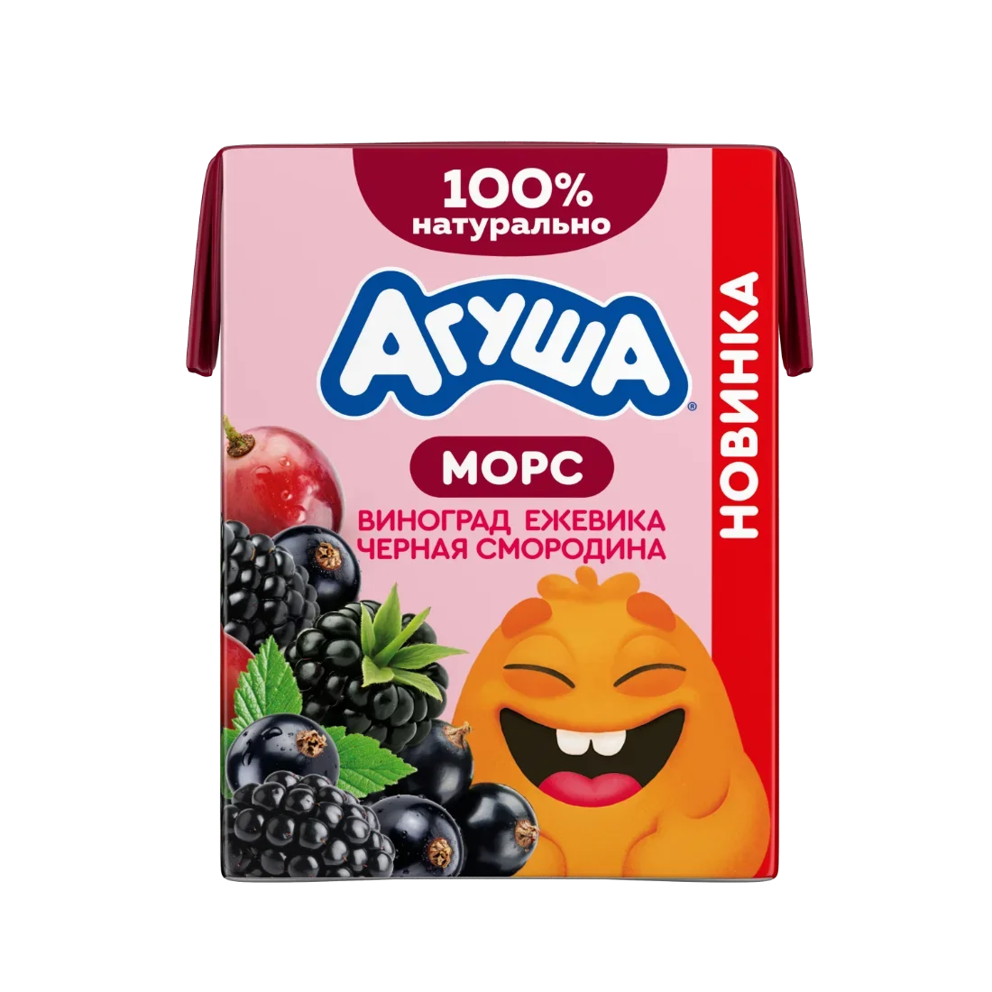 Морс из винограда, ежевики и черной смородины