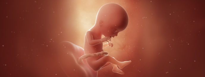 17 Недель Беременности Фото Живота Мальчиков