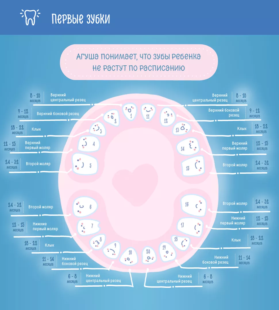 Как растут зубы у малышей по месяцам порядок фото