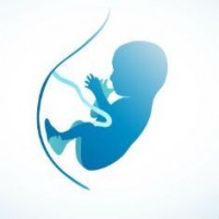 22 неделя беременности развитие плода