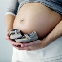24 неделя беременности развитие плода
