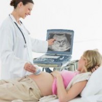5 месяц беременности УЗИ